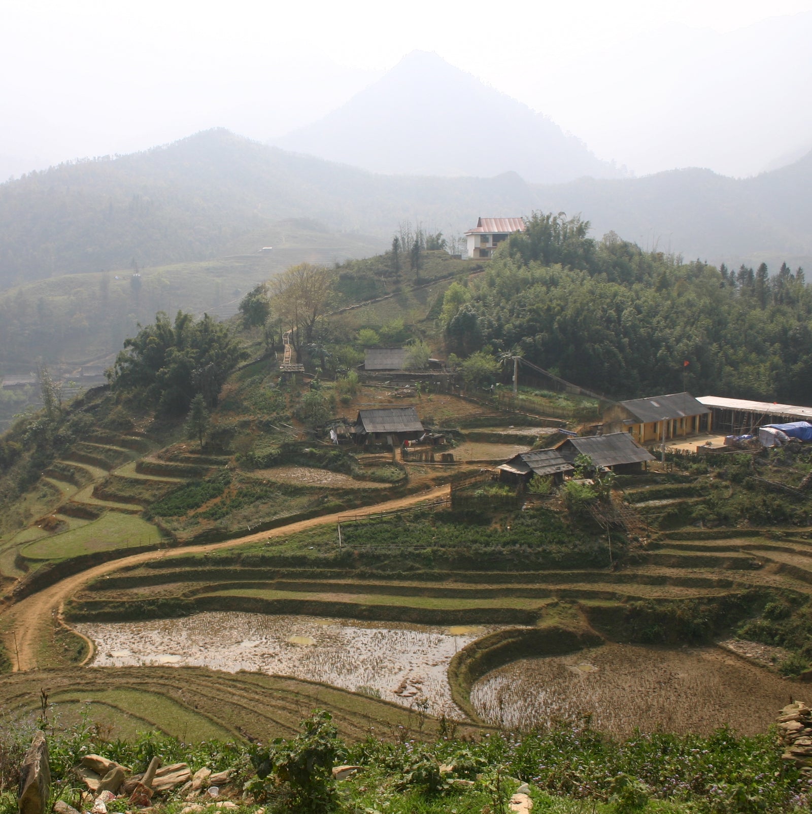 scenic view of rice paddy's and hills of Vietnam