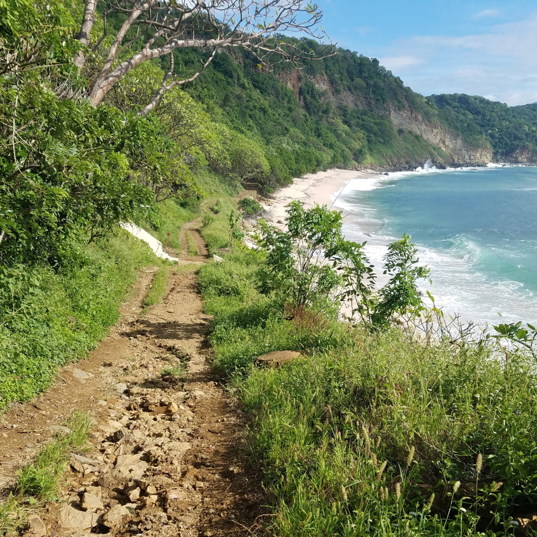 Local Business For Nicaraguan Youth - BICI-FUTURO