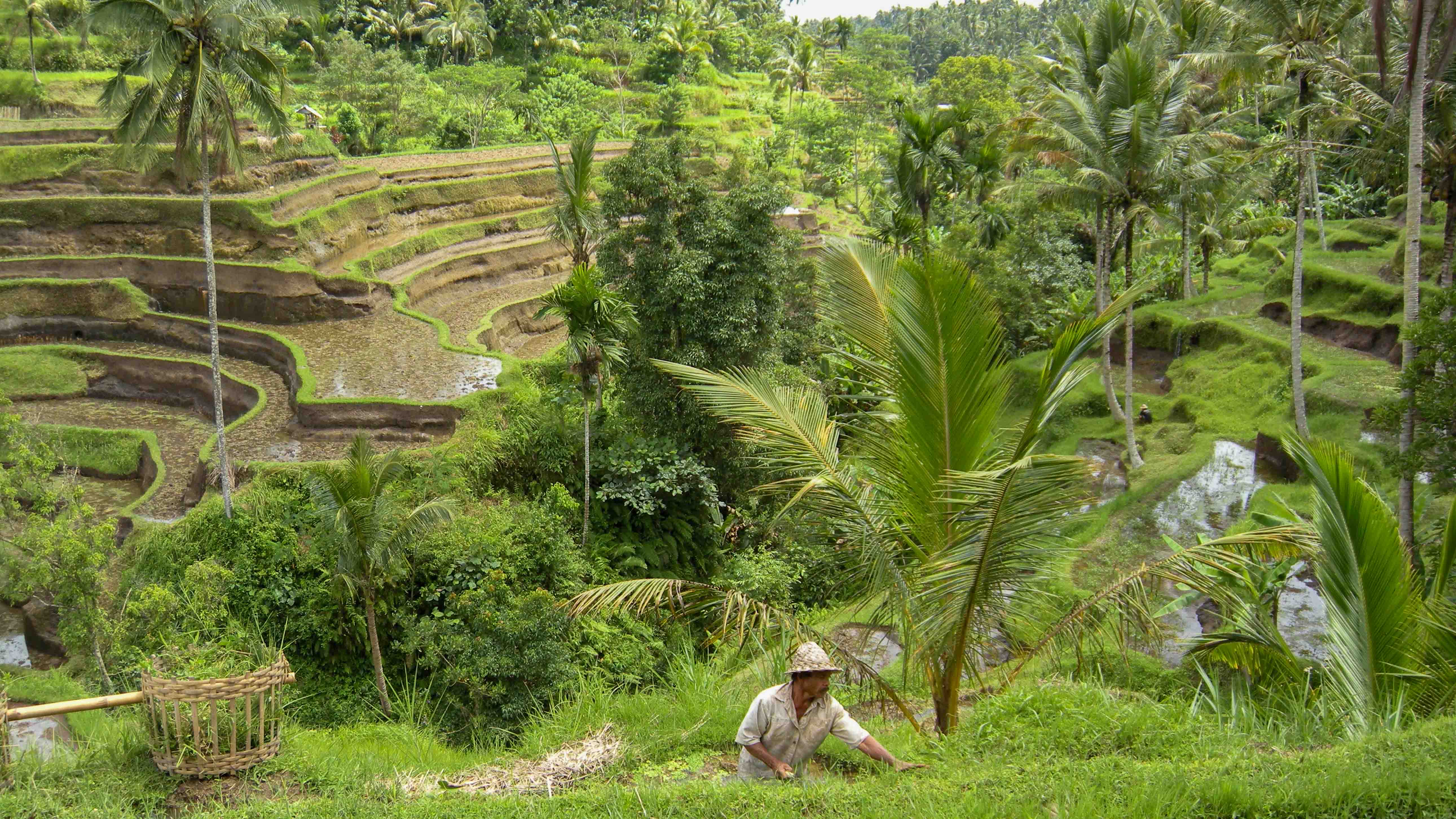 Bali