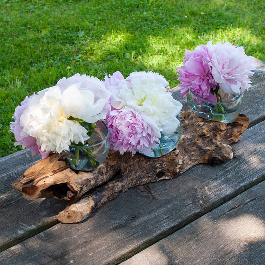 Horizontal Triple Glass Bowls on Gamal Wood