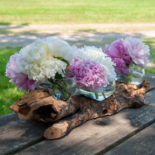 Horizontal Triple Glass Bowls on Gamal Wood