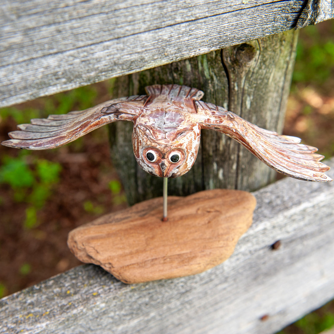 Oiseaux bleus sur bois flotté