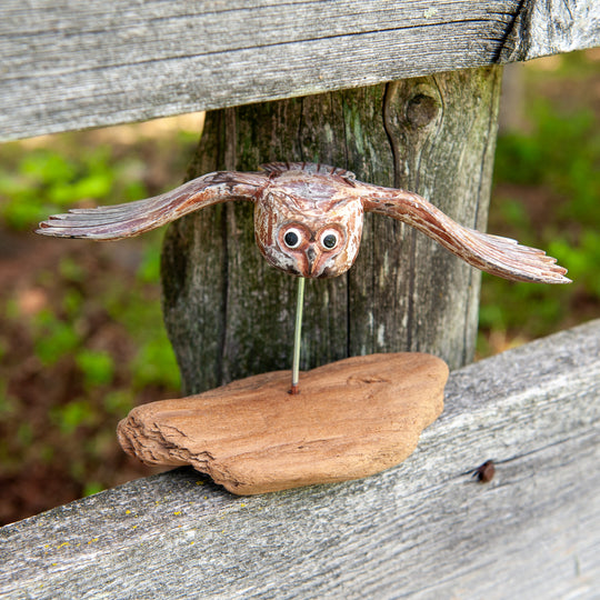 Oiseaux bleus sur bois flotté