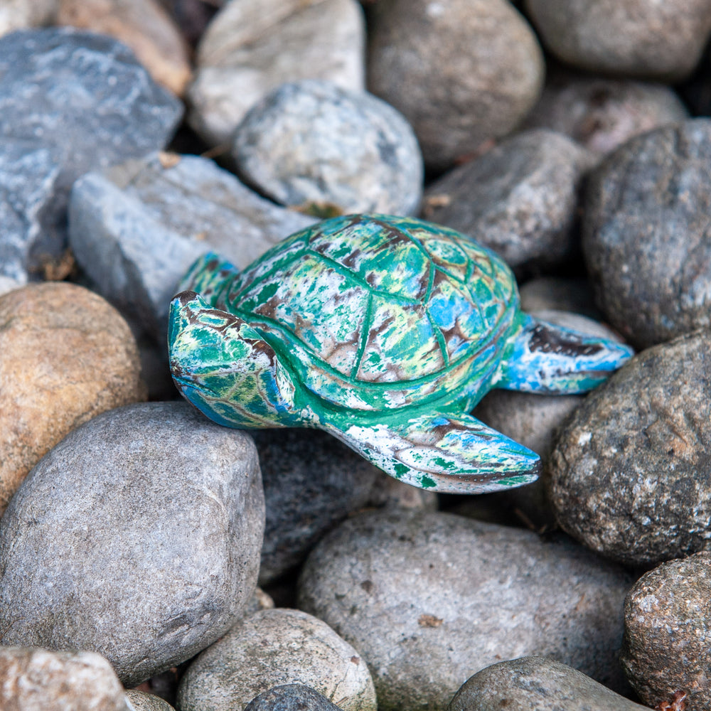 Driftwood Turtle