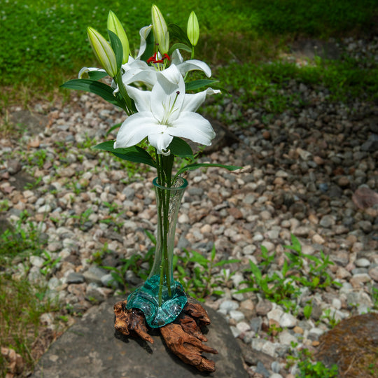 Tall Glass Vase on Gamal Wood - 15"