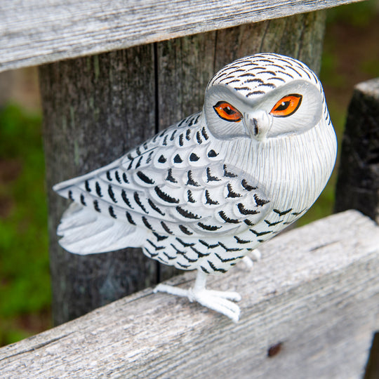 Balinese Wooden Snowy Owl