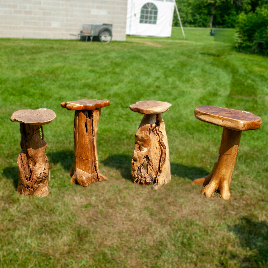 Indonesian Teak Root Bar Stool