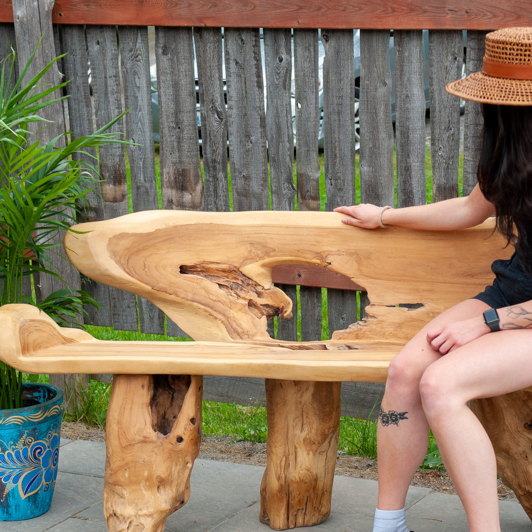 Banc de racine de teck récupéré