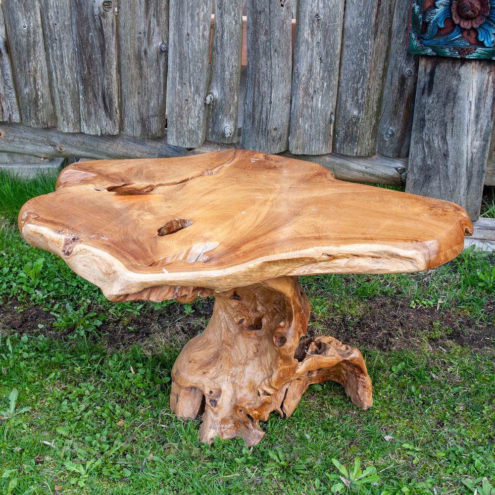 Indonesia Reclaimed Teak Root Coffee Table