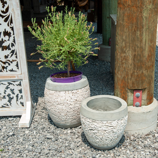 Javanese Cement Tulip Marble Pot - White