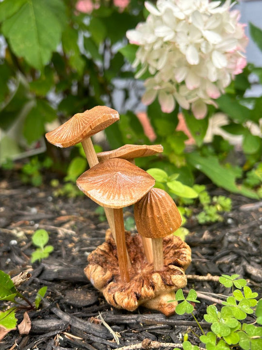 Hand Carved Suar Wood Mushrooms (Tall)