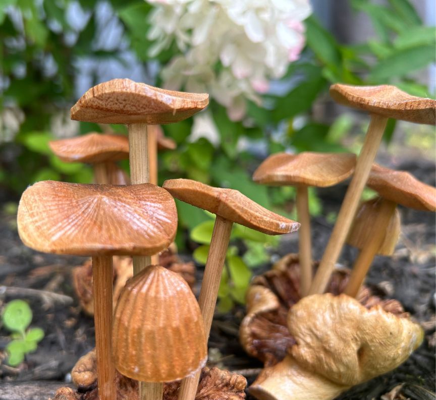 Hand Carved Suar Wood Mushrooms (Tall)