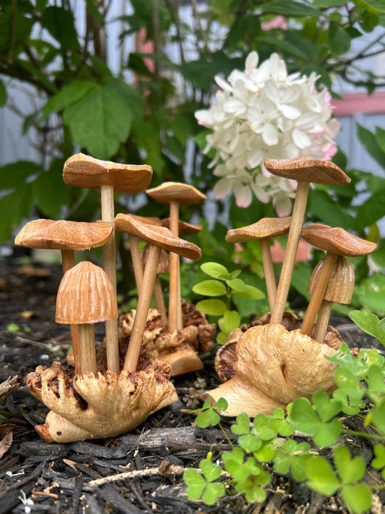 Hand Carved Suar Wood Mushrooms (Tall)