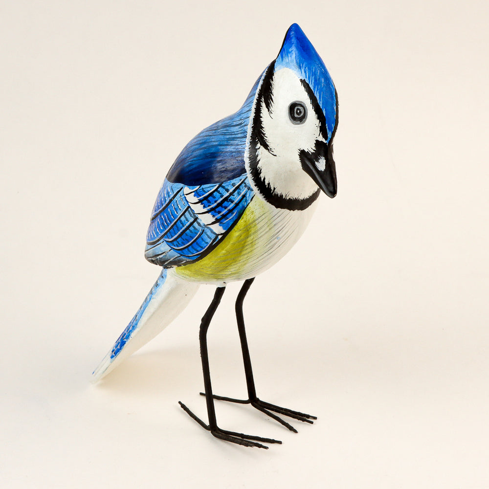 Blue Jay