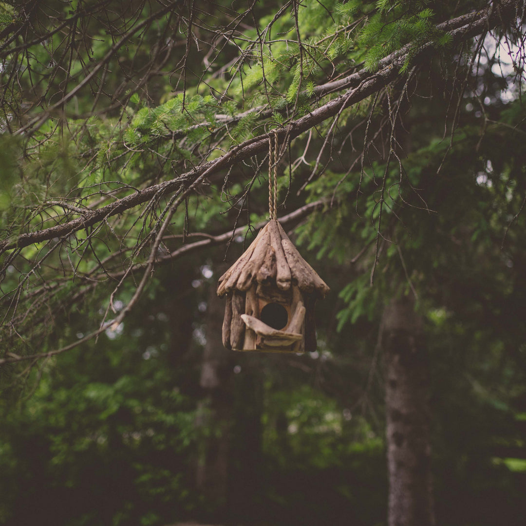 Driftwood Single Birdhouse