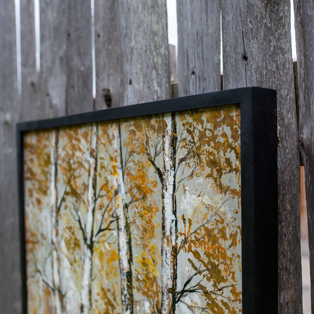 Photo of 4 distinct birch trees against a forest backdrop