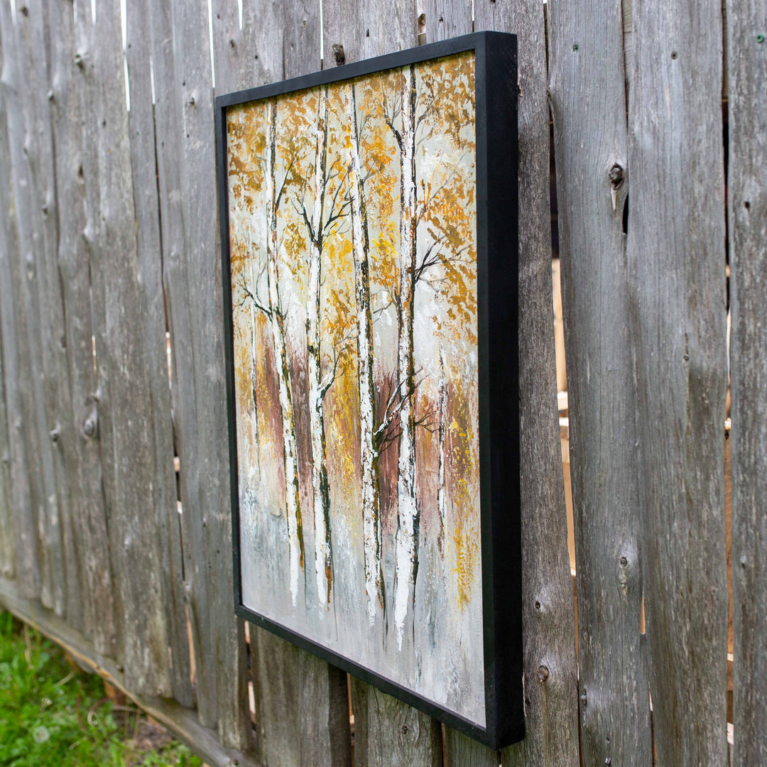 Photo of 4 distinct birch trees against a forest backdrop