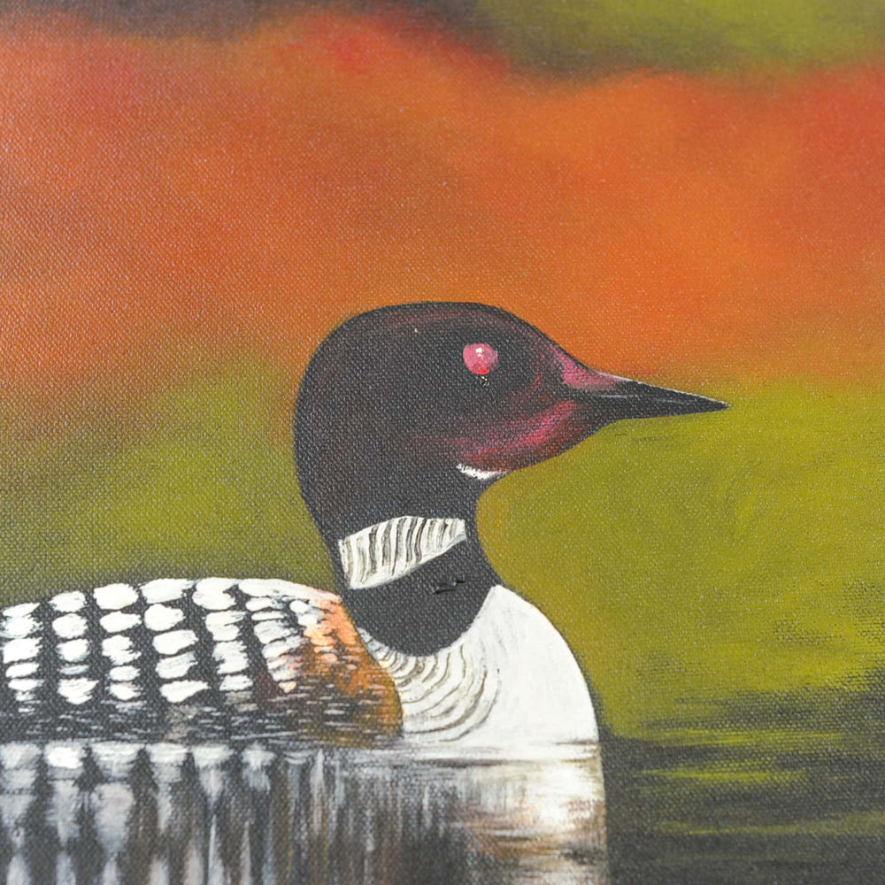 Loon on calm water with fall colours close up