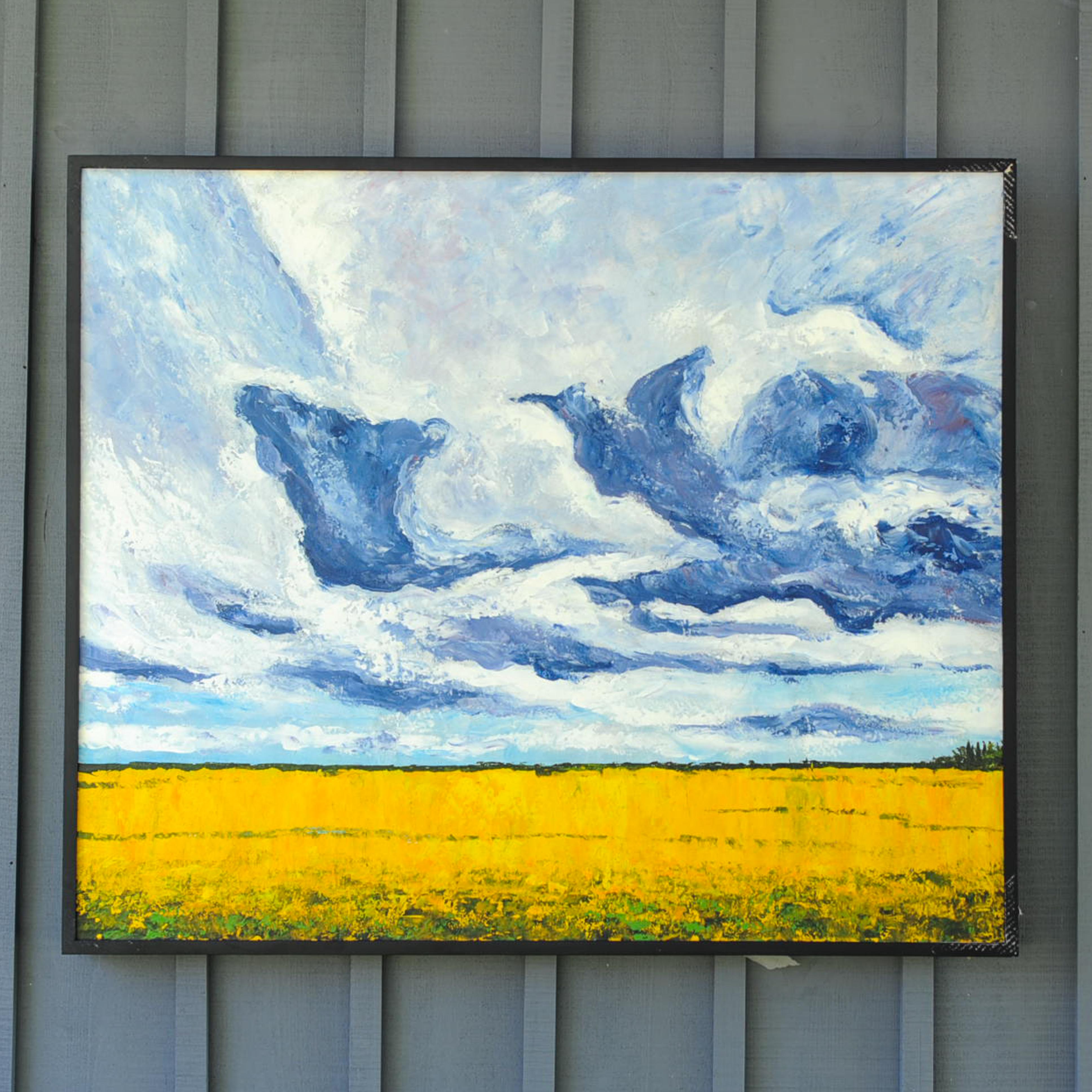 Wide open sky with clouds over a wheat field