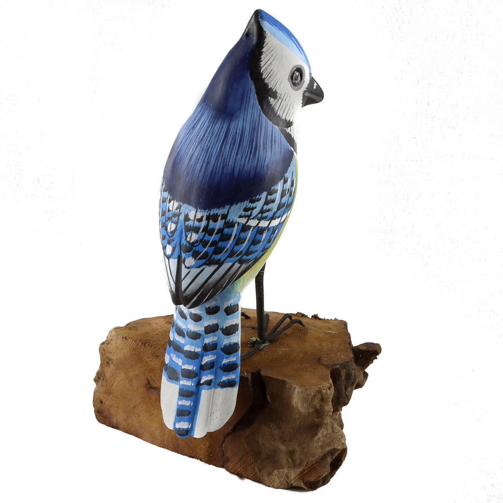 Blue Jay on Wood