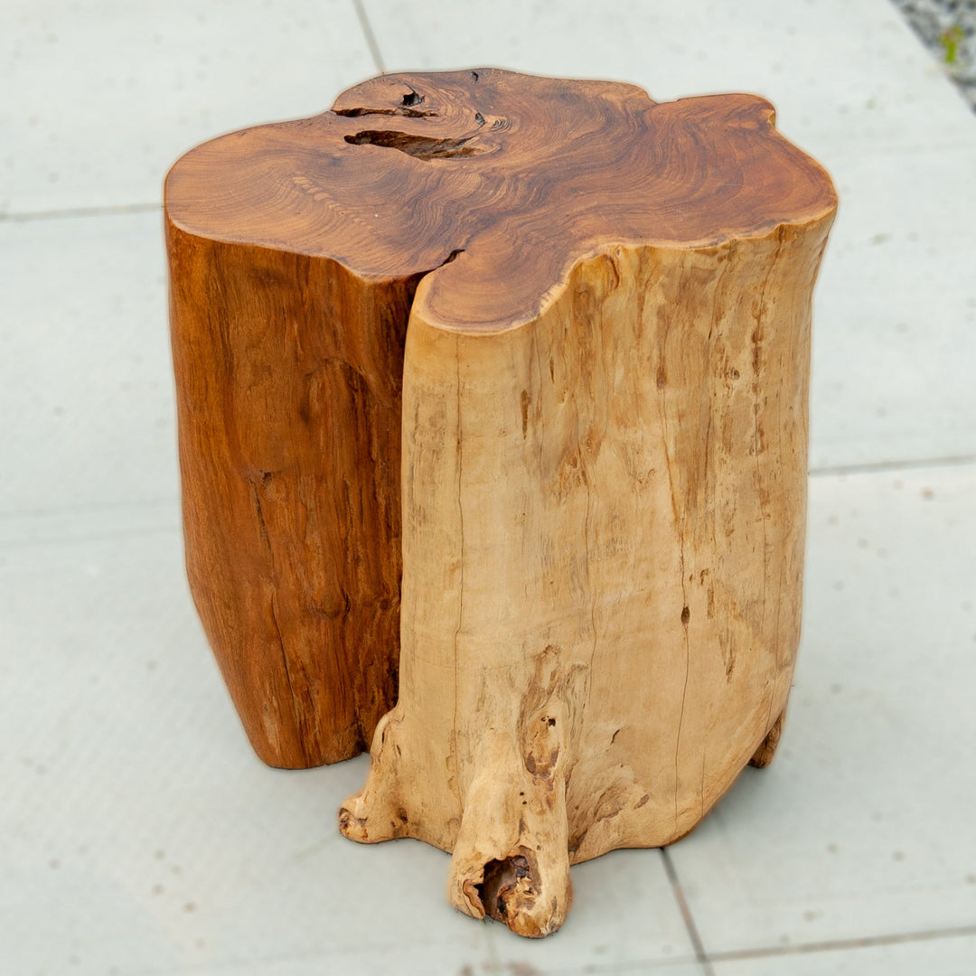 An image of a Teak Trunk Stool. This unique stool is crafted from a teak trunk, preserving the natural beauty and character of the wood. The stool showcases the rich textures, grains, and unique patterns found in teak. With its solid and sturdy construction, it serves as both a functional seating option and a piece of natural art.