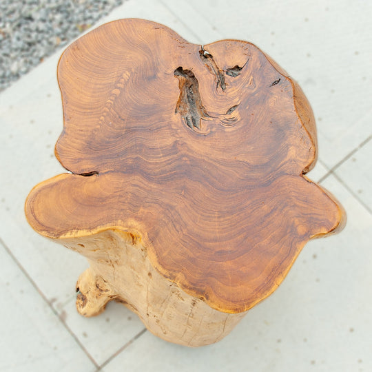 An image of a Teak Trunk Stool. This unique stool is crafted from a teak trunk, preserving the natural beauty and character of the wood. The stool showcases the rich textures, grains, and unique patterns found in teak. With its solid and sturdy construction, it serves as both a functional seating option and a piece of natural art.